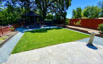 How to Prepare Your Yard for Sacramento Summer Heat