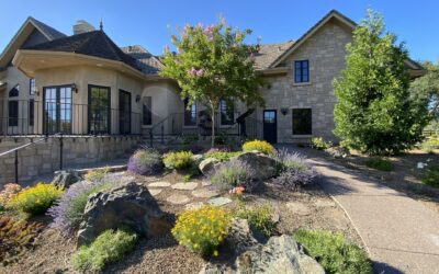 The Most Common Landscaping Mistakes Sacramento Homeowners Make